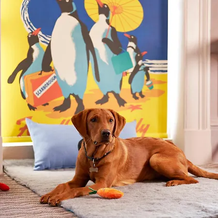 Bike & Boot - Leisure For Now 4*