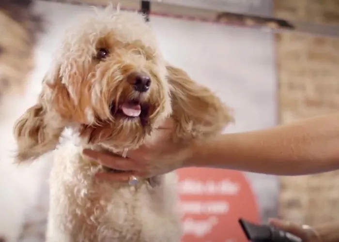 Bike & Boot - Leisure For Now Scarborough