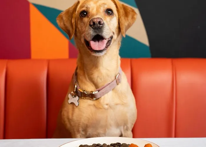 Bike & Boot - Leisure For Now 4* Scarborough