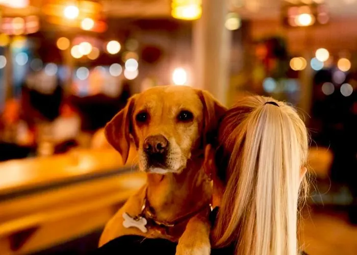 Bike & Boot - Leisure For Now Hotel Scarborough